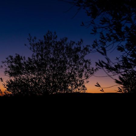 Отель Skyline Eco-Camp Мицпе-Рамон Экстерьер фото